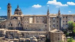 Urbino